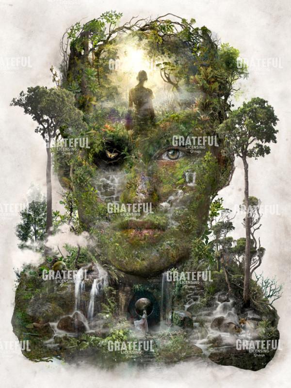 Forest of Space Time