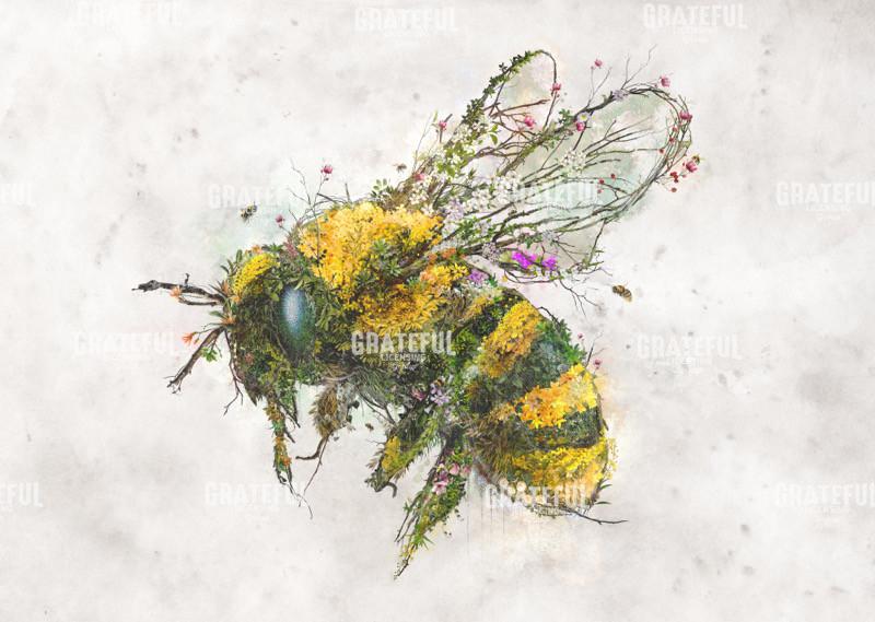 Bumble Bee Bramble