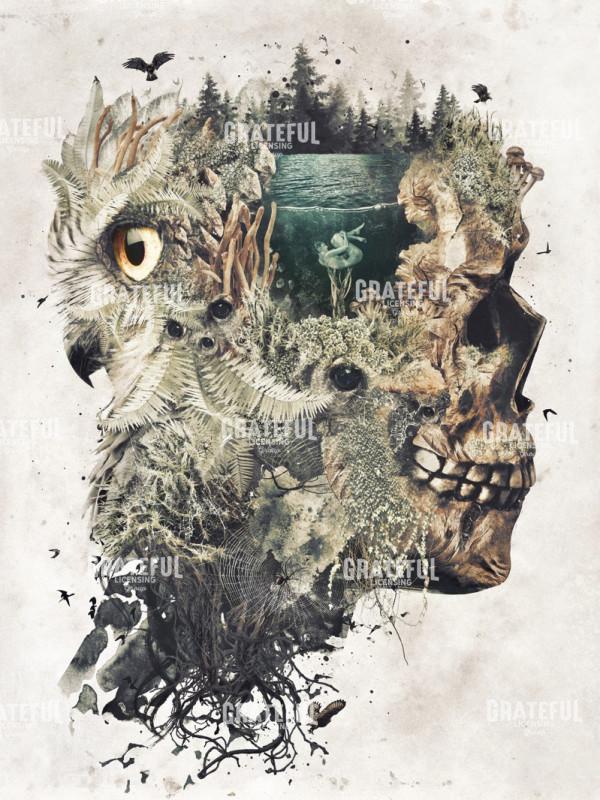 Forest Lake Dreamer