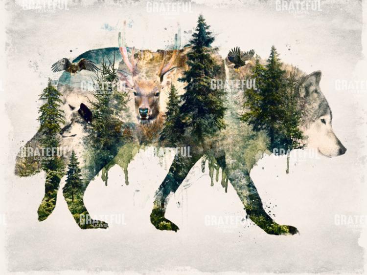 Walking with Wolves