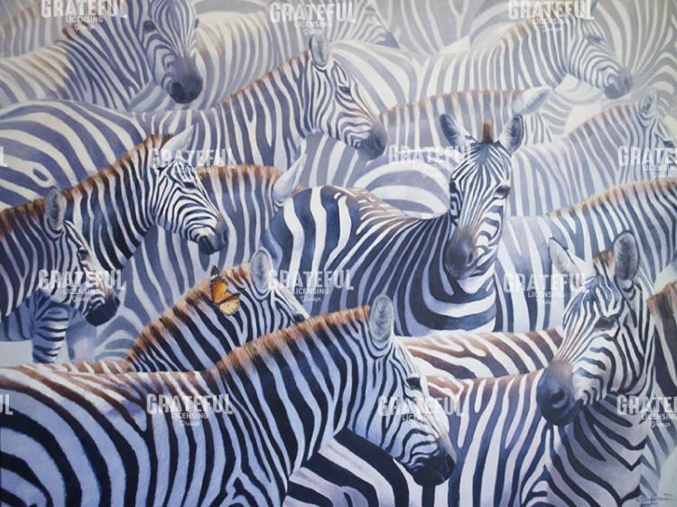 Zebra 2