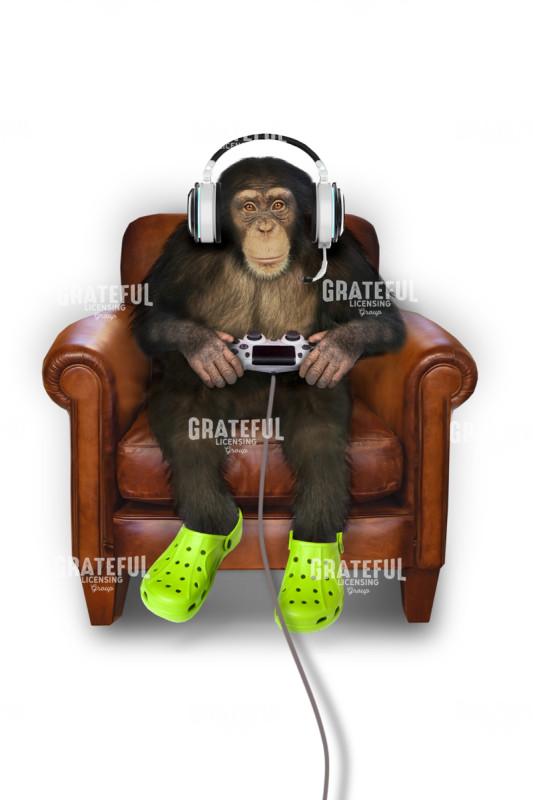 Gamer Monkey