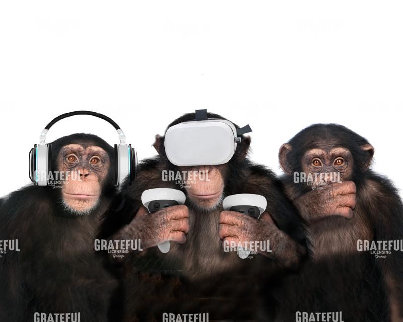 See No Evil Monkeys