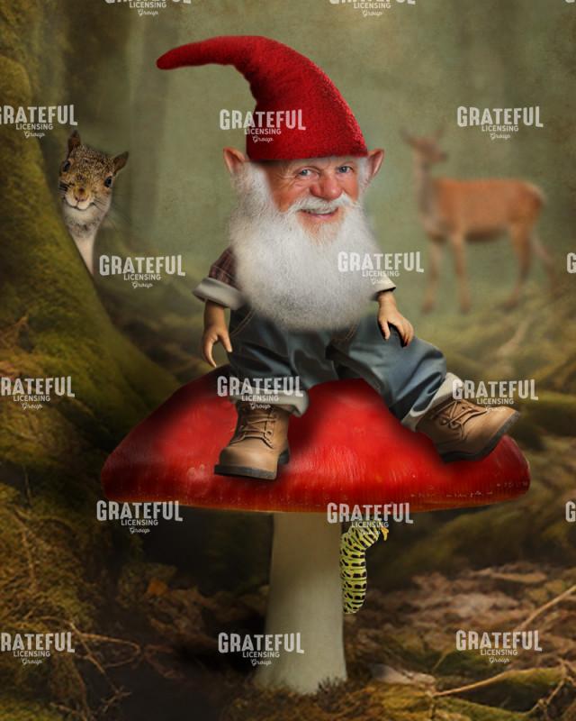 Gnome on Mushroom