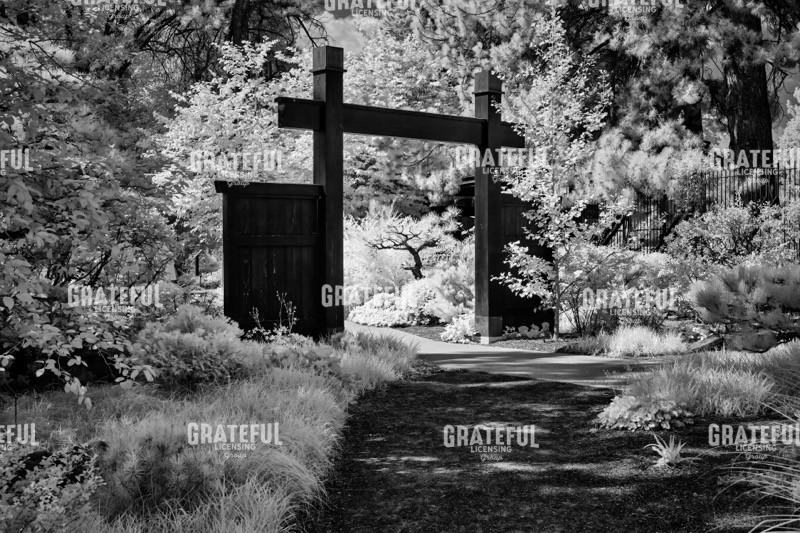 Japanese Arch in the Garden.jpg