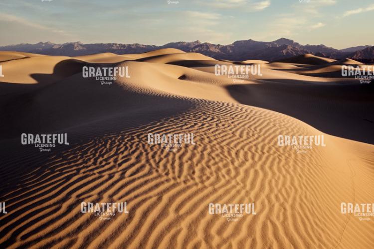 Morning on Mesquite Dunes