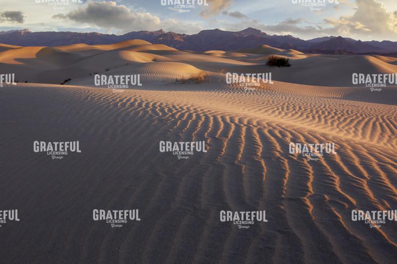 Dawn on Mesquite Dunes