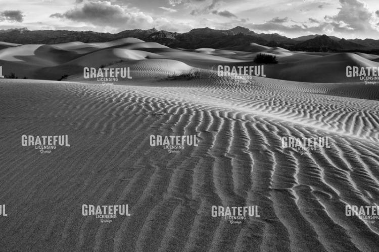 Dawn on Mesquite Dunes II