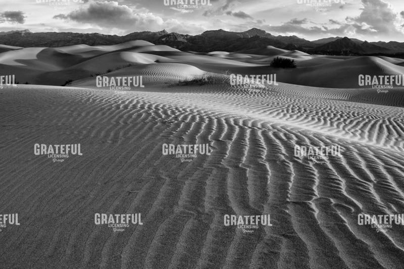 Dawn on Mesquite Dunes II