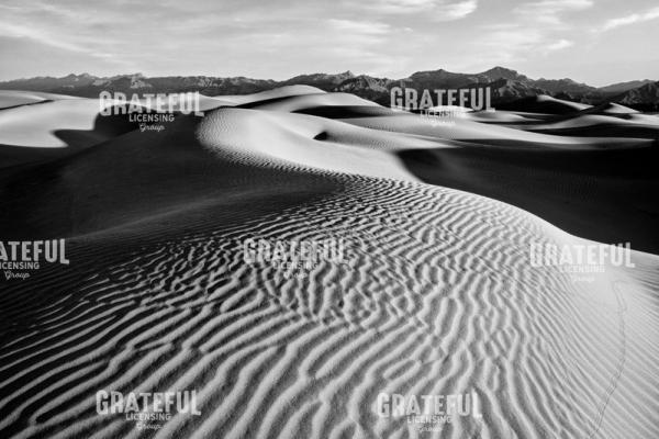 Morning on Mesquite Dunes II