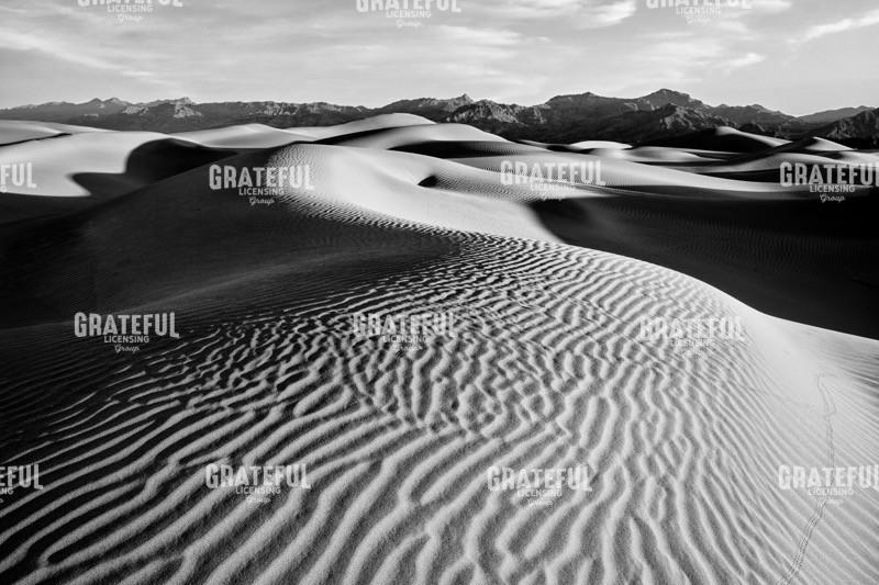 Morning on Mesquite Dunes II