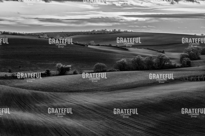 Sunrise in Wine Country 2