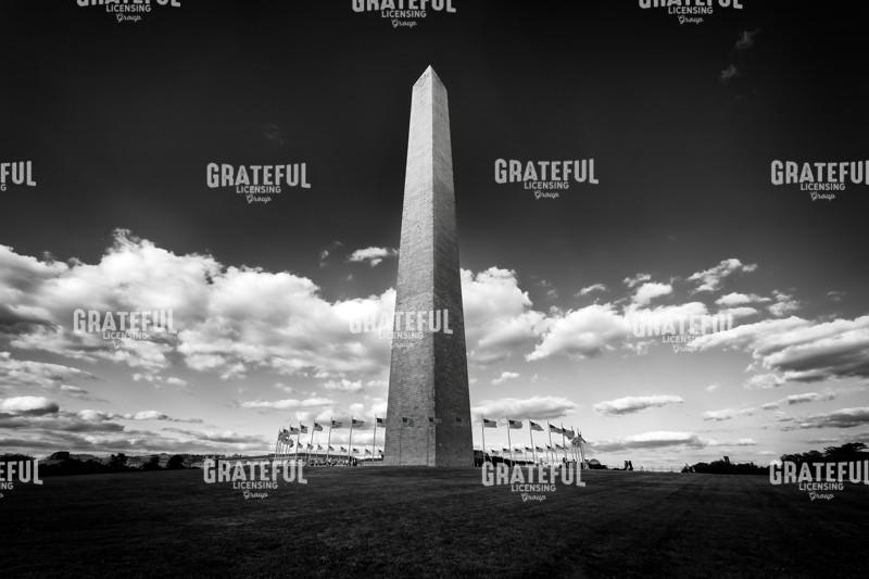 The Washington Monument