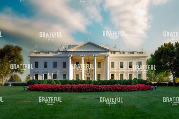 The White House