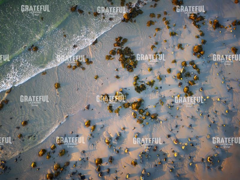 Morning on the Rocky Shore