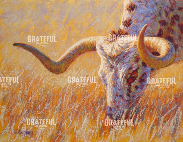 Grazing Longhorn II