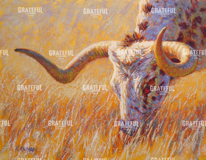 Grazing Longhorn II