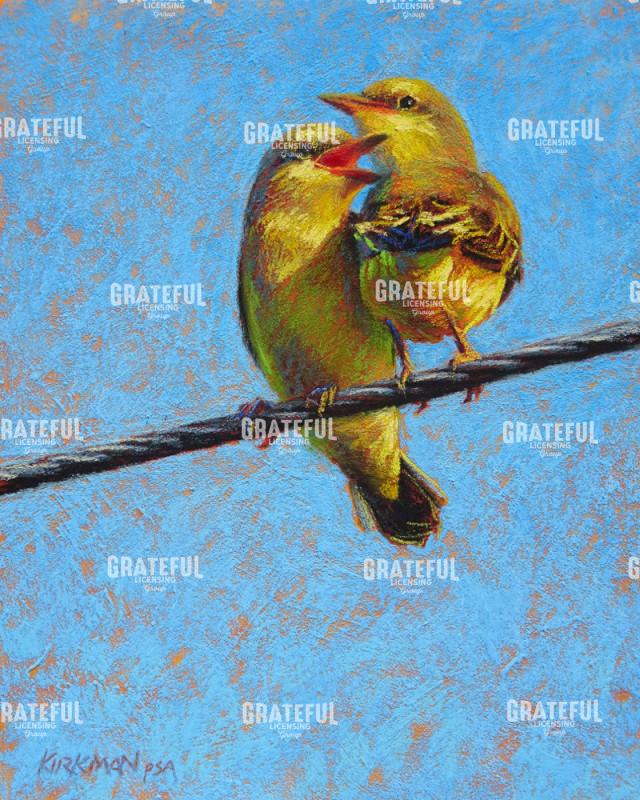 Young Kingbirds on a Wire