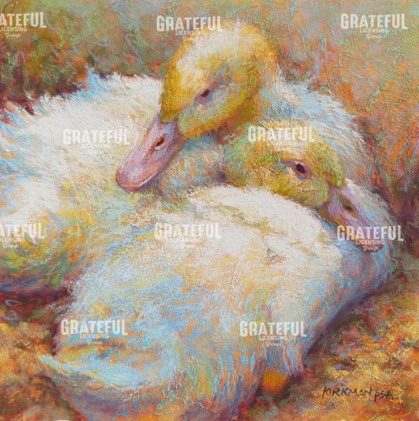 Snuggle Ducks