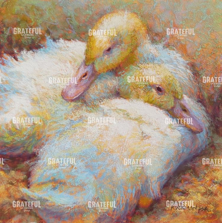 Snuggle Ducks