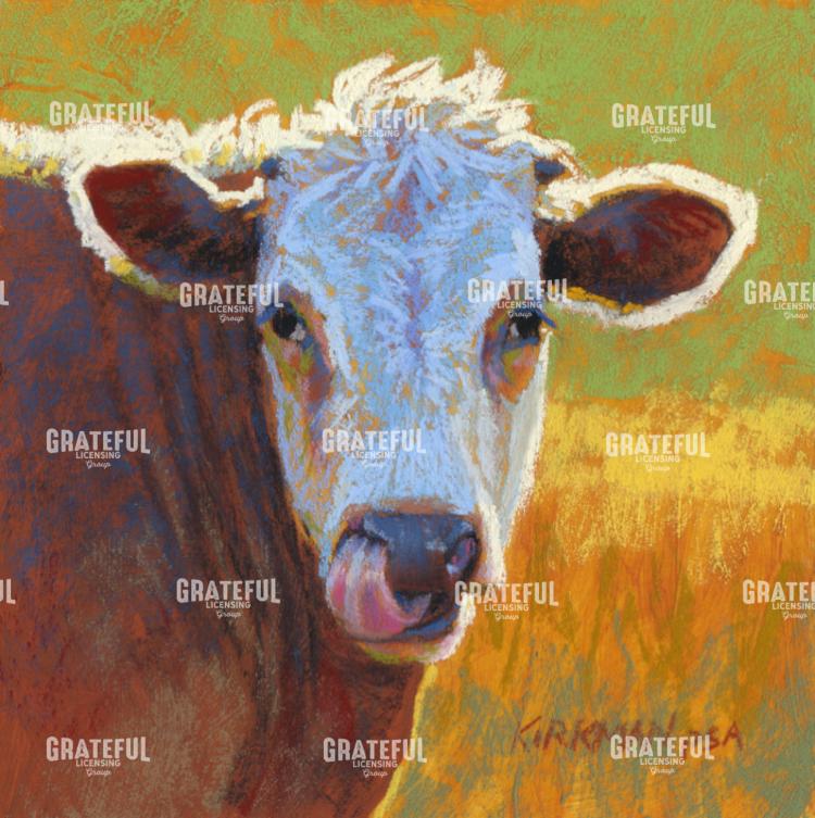Grayvie