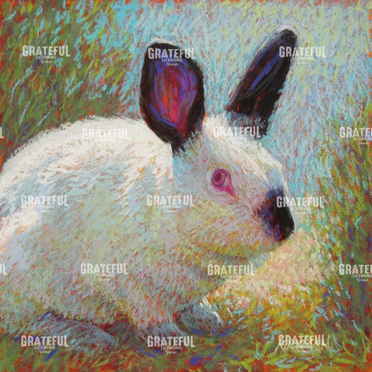 Albie Bun