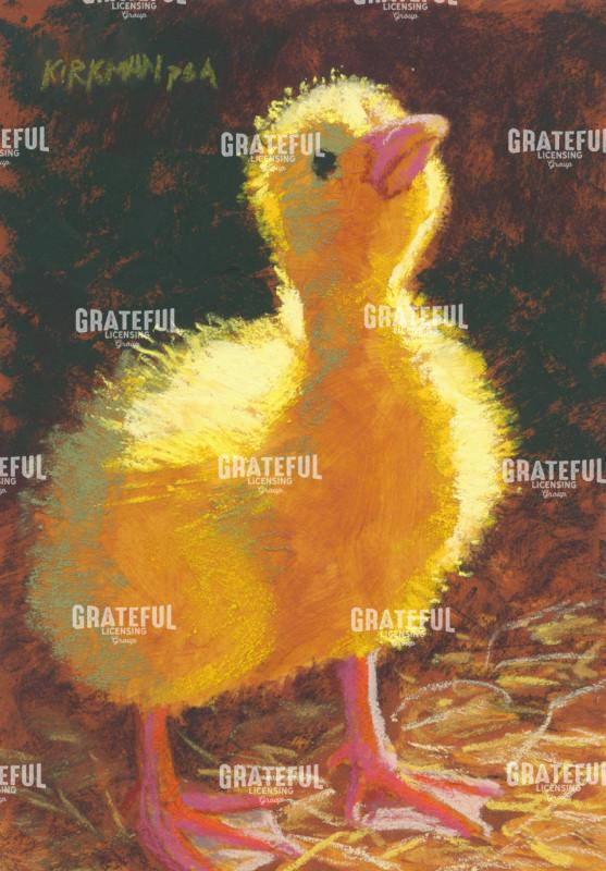 Duckling in the Light