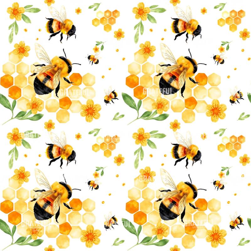Bumble Bees and Honey Combs