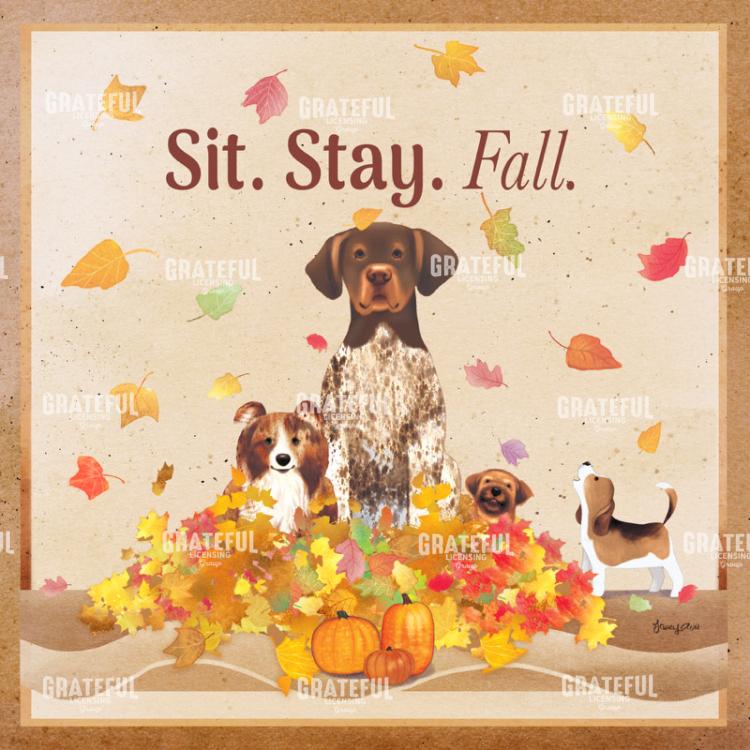 Sit Stay Fall