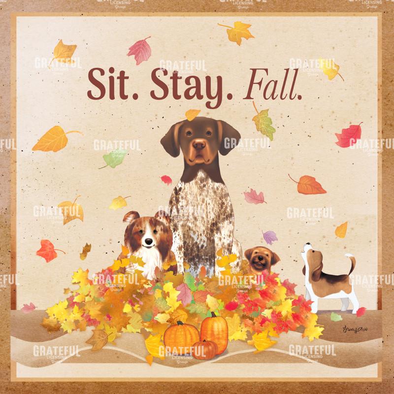 Sit Stay Fall