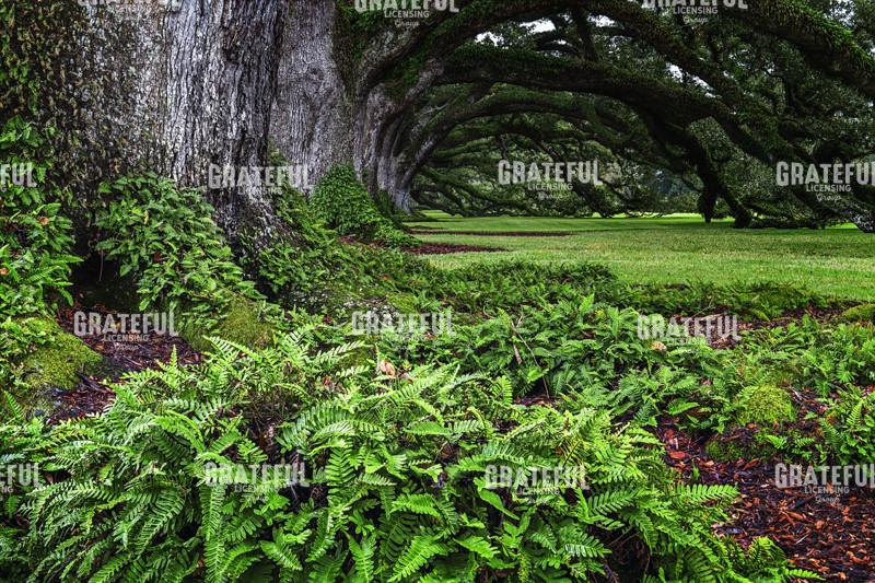 Resurrection in the Alley