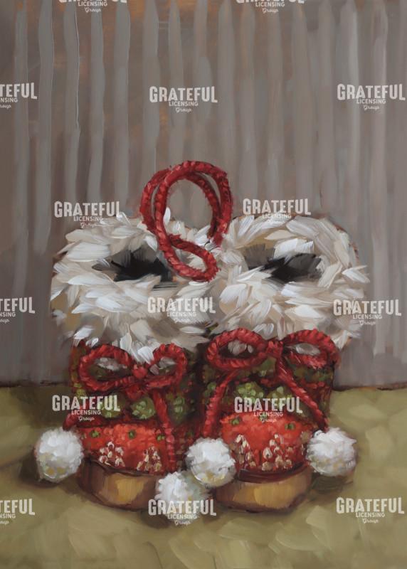 Slippers for Santa