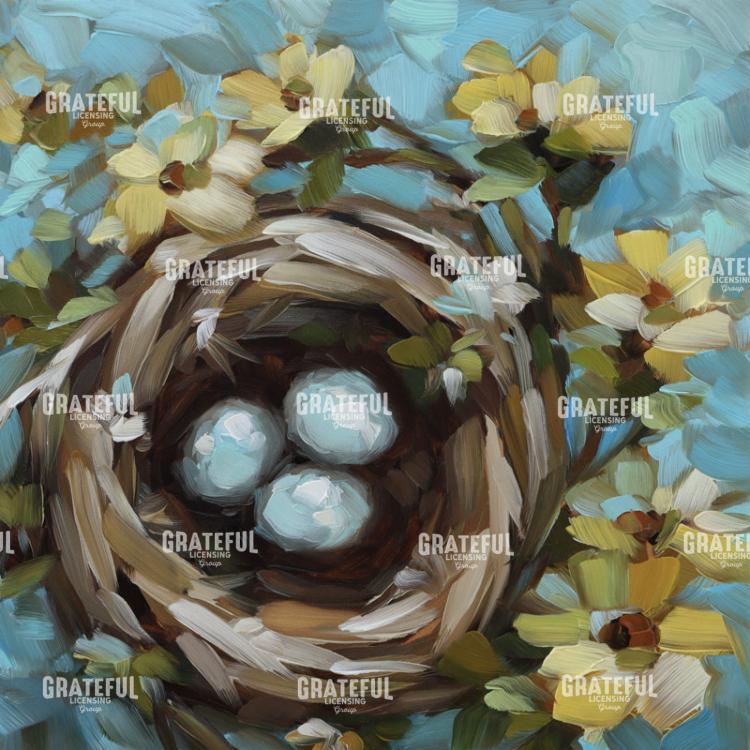 Bird Nest