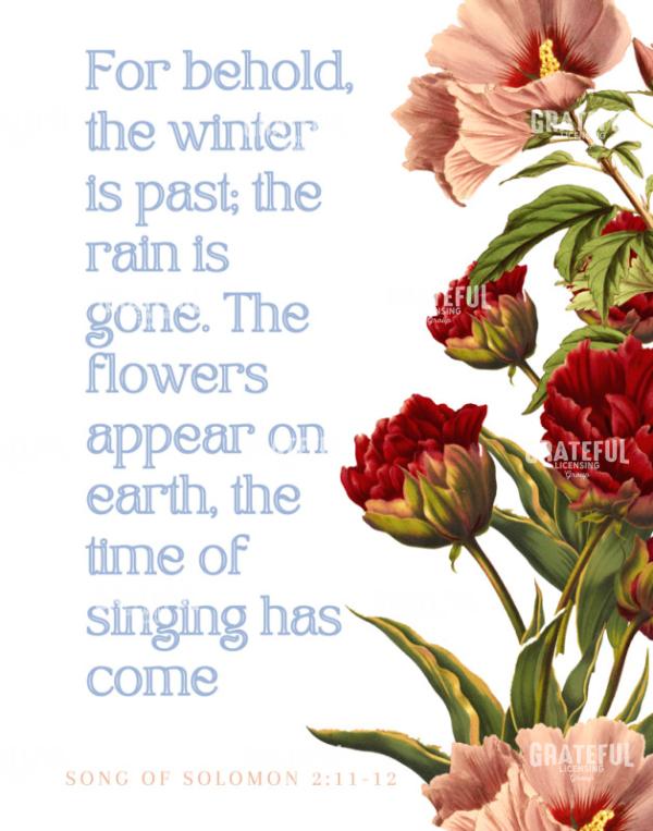 Song S21112