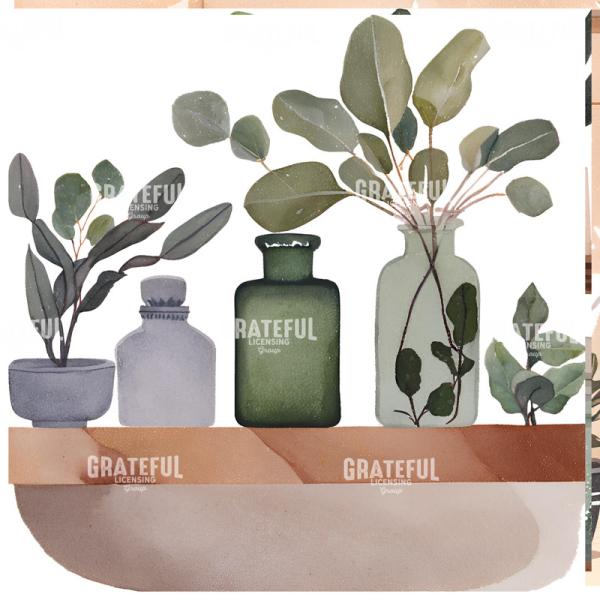 Apothecary 5