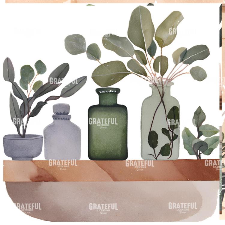 Apothecary 5