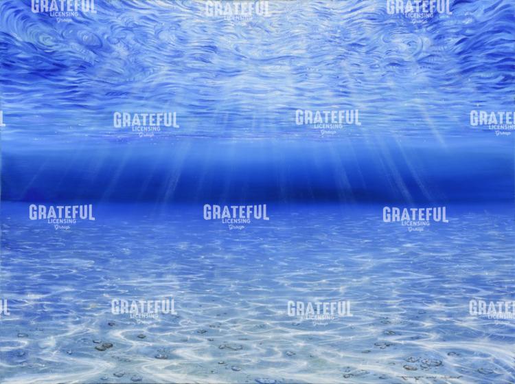 Seafloor Elegance