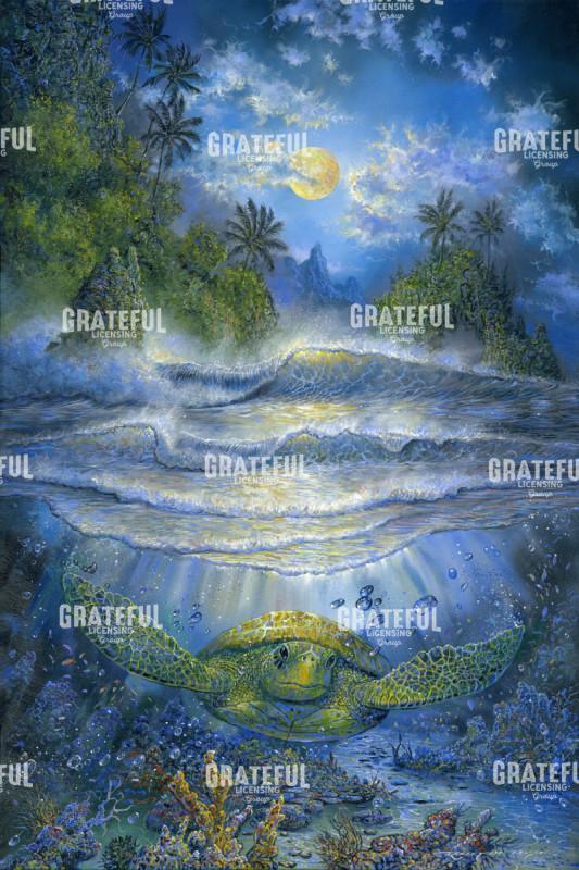 Soloist In The Moonlight