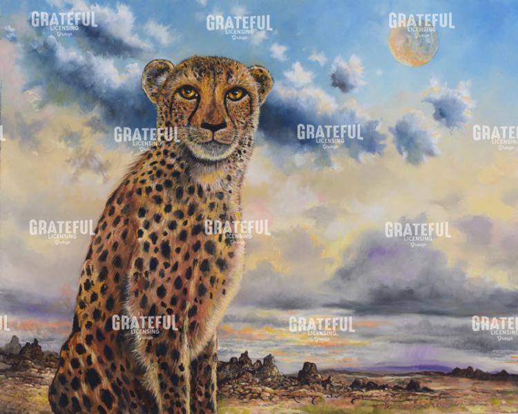 The Fastest Mammal The Cheetah