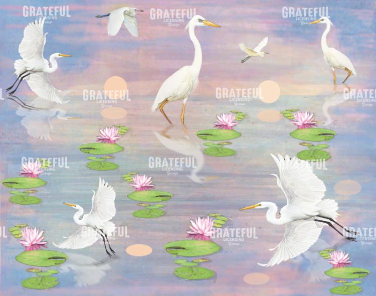 Egrets And Herons And Lily Pads