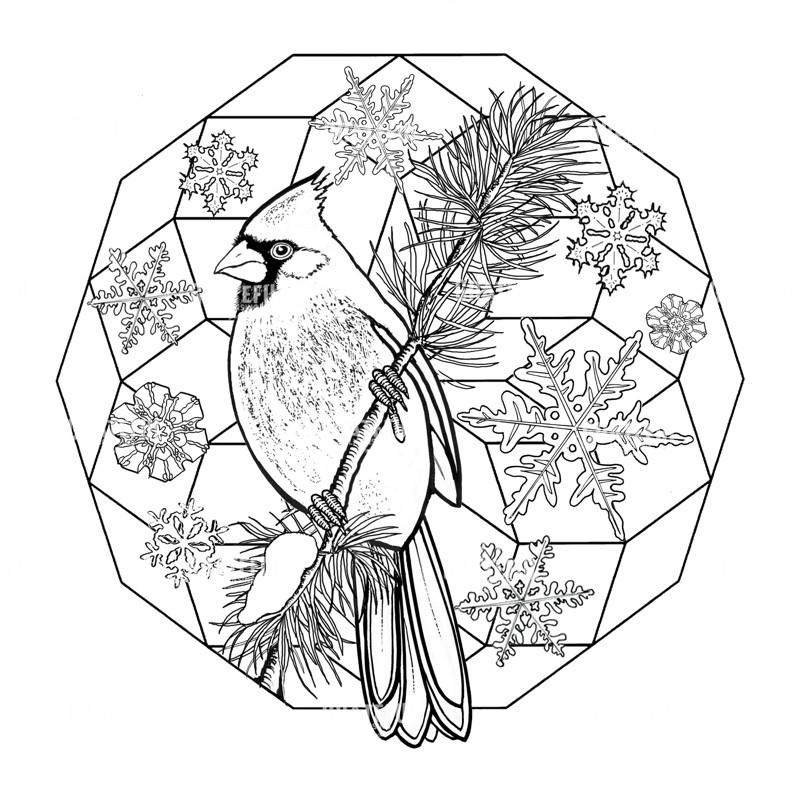 Cardinal On Branch With Snowflakes