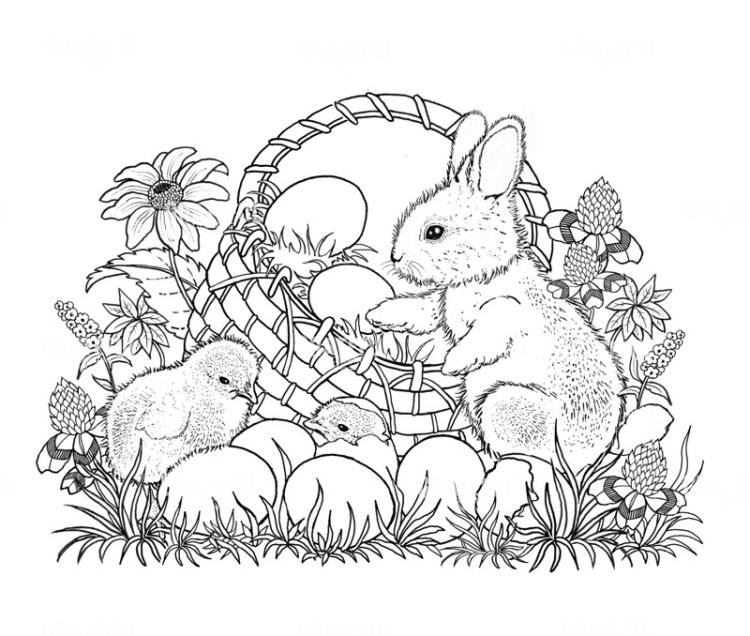 Bunny And Chicks