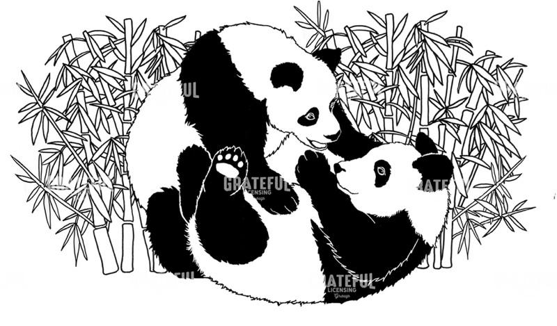 Pandas And Bamboo