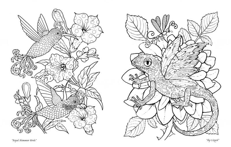 Hummingbirds And Lizards Wings