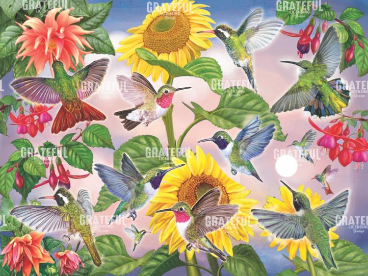 Hummingbird Heaven
