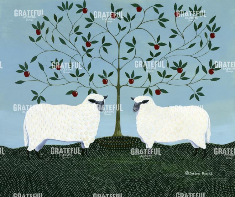 Orchard Sheep