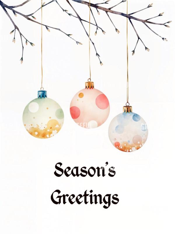 Rustic Minimalist Ornaments on Branch