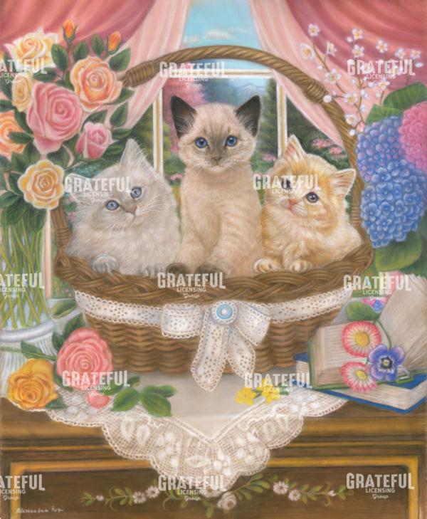 Spring Kittens
