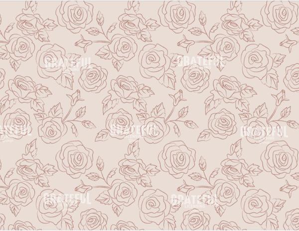 Cream Rose