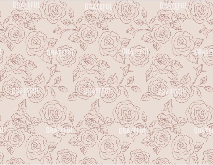 Cream Rose